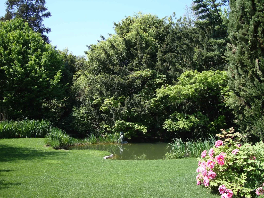 Lotus Garden