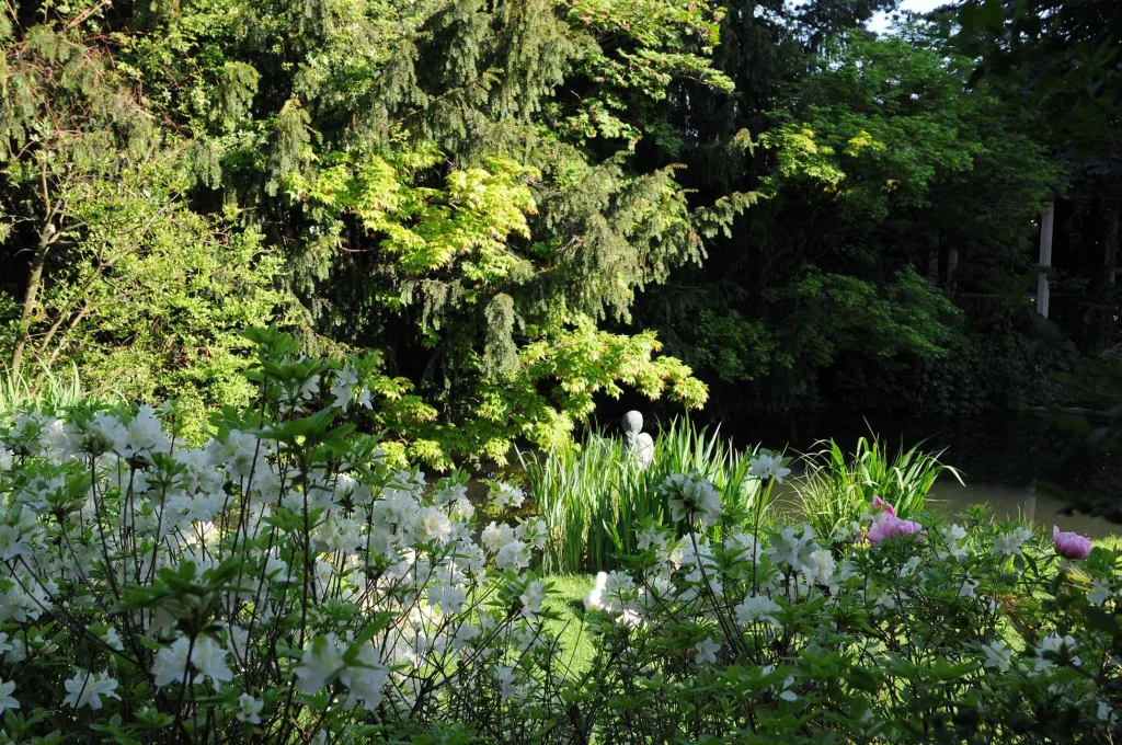 Lotus Garden