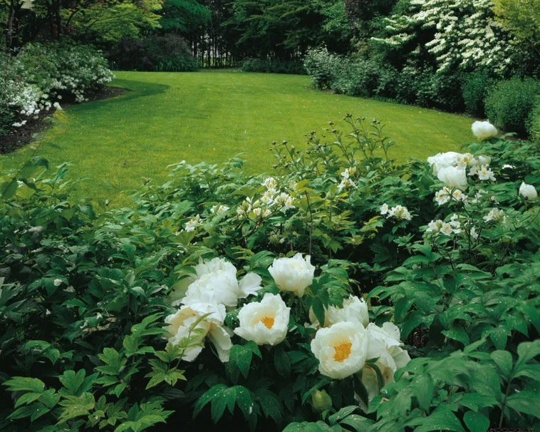 Giardino Bianco