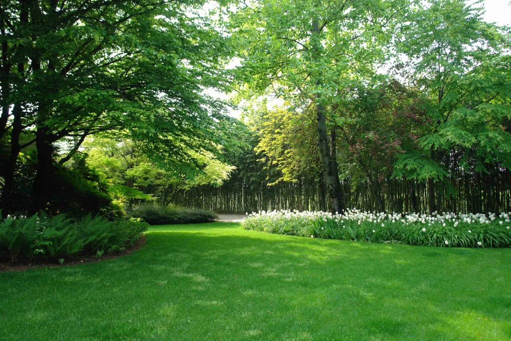 Giardino Bianco