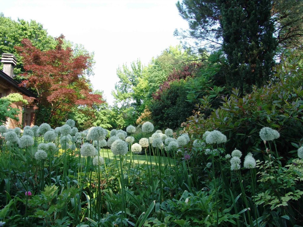 Giardino Bianco