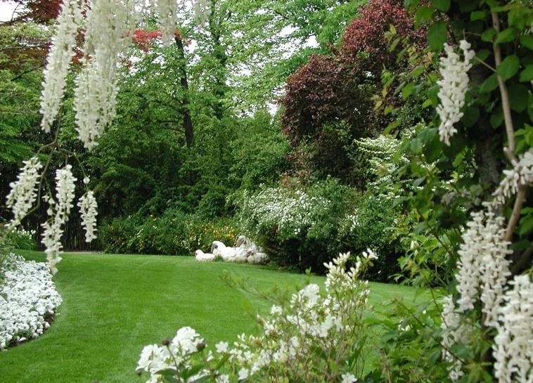 Giardino Bianco