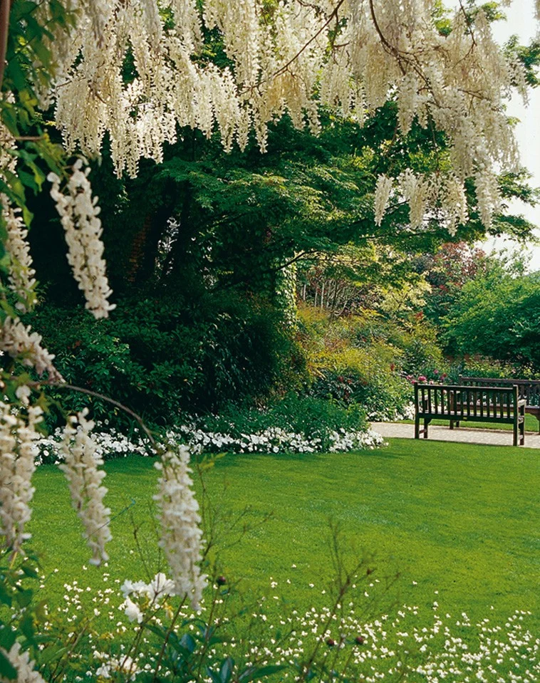 Giardino Bianco