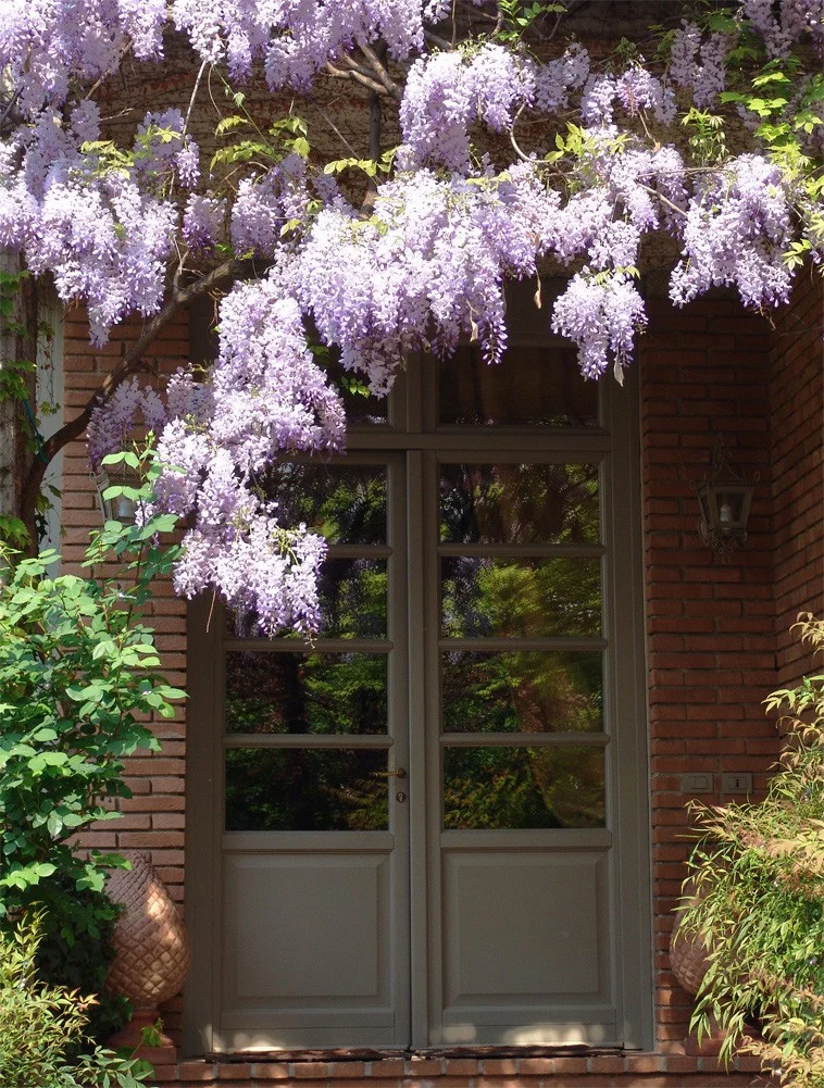 Giardino Bianco