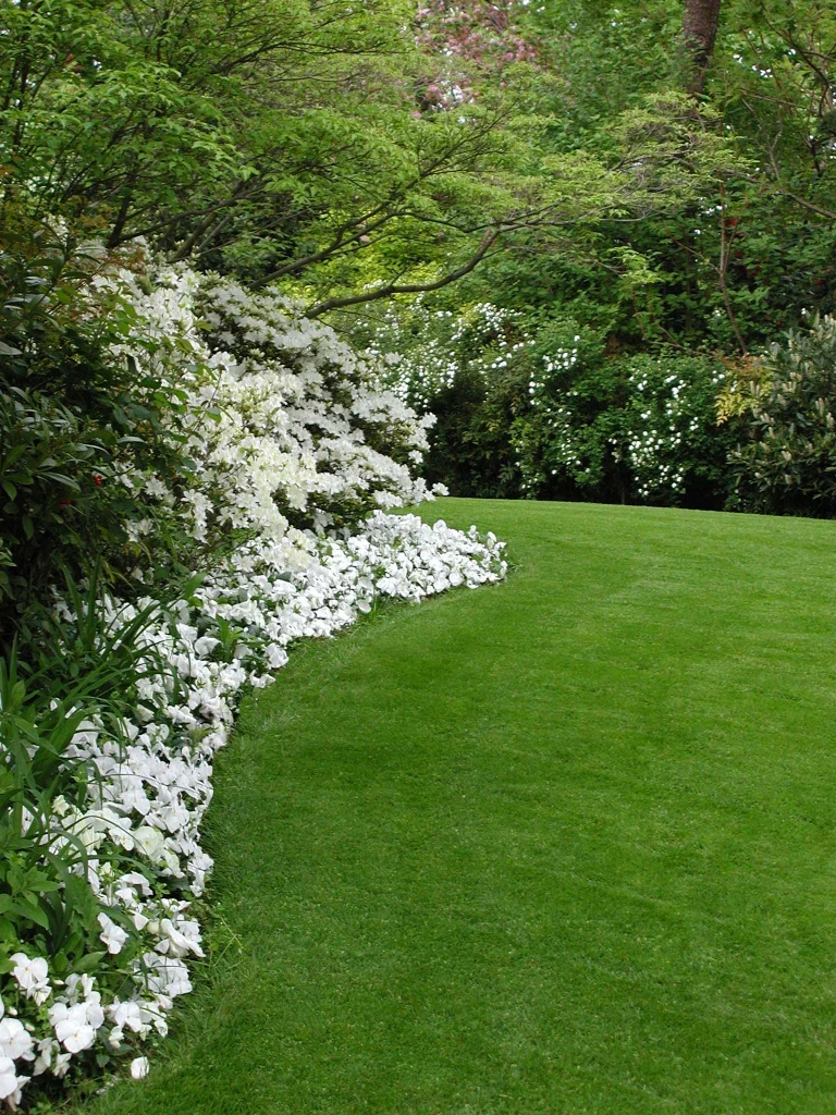 Giardino Bianco