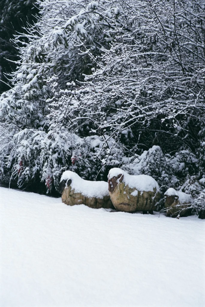 Giardino Bianco