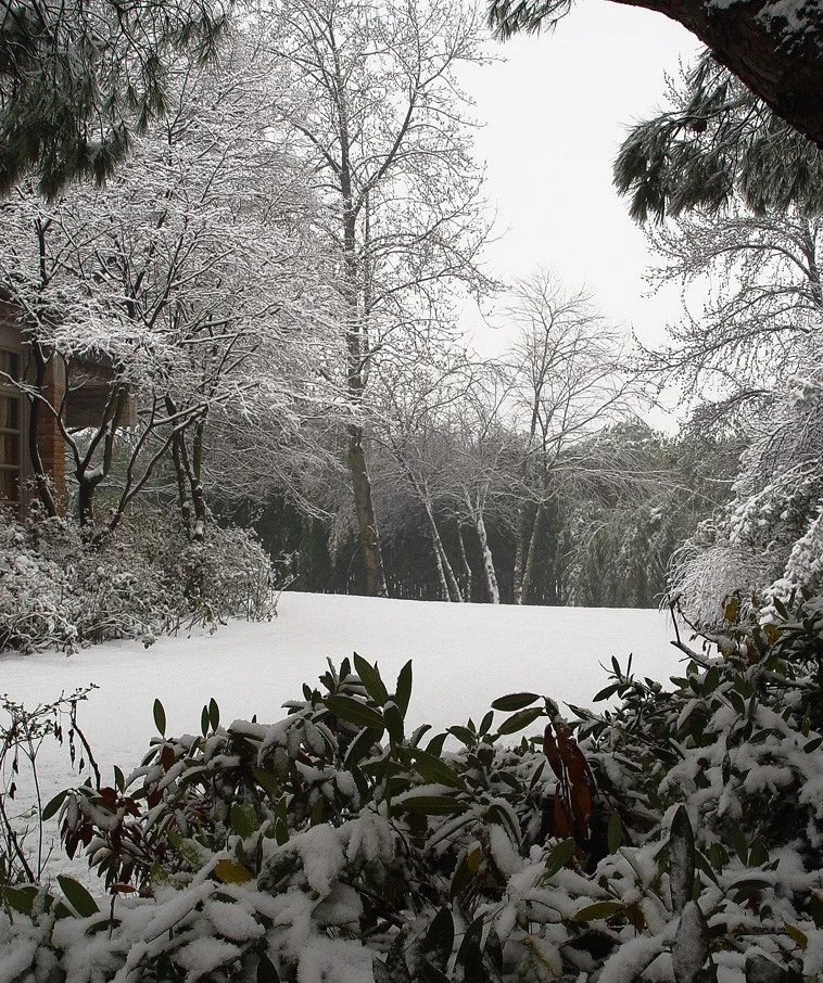 Giardino Bianco