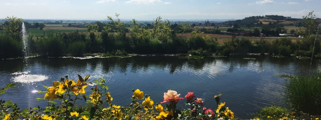 A garden that keeps giving new emotions