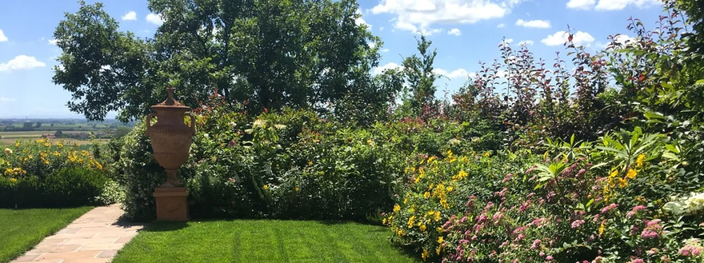 A garden that keeps giving new emotions