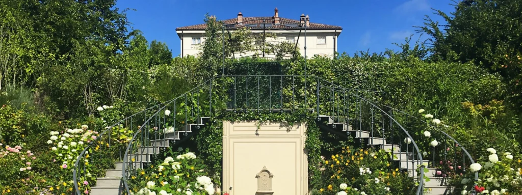 A garden that keeps giving new emotions