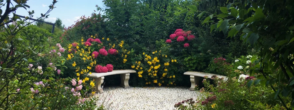 A garden that keeps giving new emotions