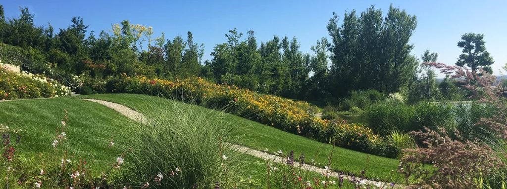A garden that keeps giving new emotions