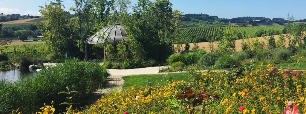 A garden that keeps giving new emotions