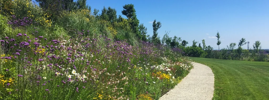 A garden that keeps giving new emotions