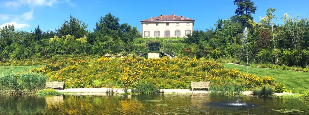 A garden that keeps giving new emotions