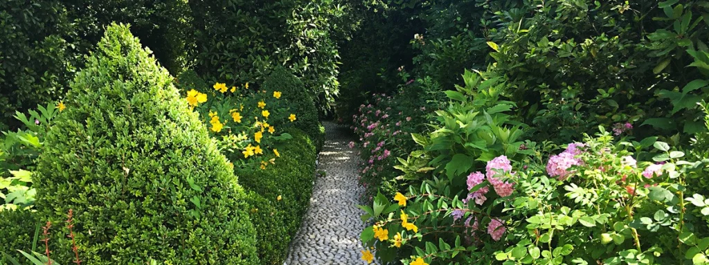 A garden that keeps giving new emotions
