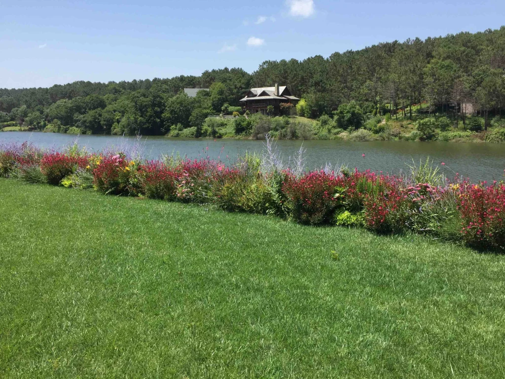 Harmony Among the Hills