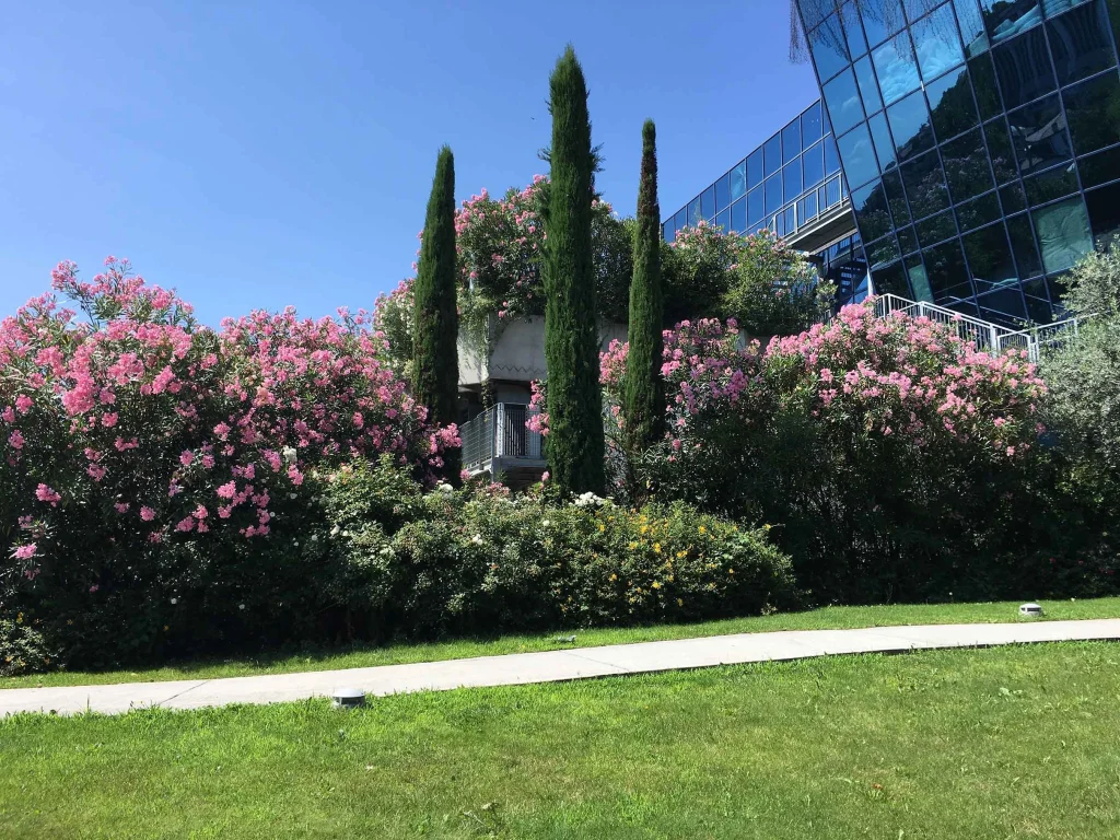 Le Vele – Desenzano del Garda