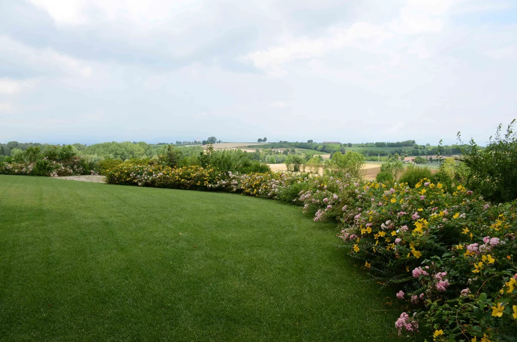San Martino Real Estate