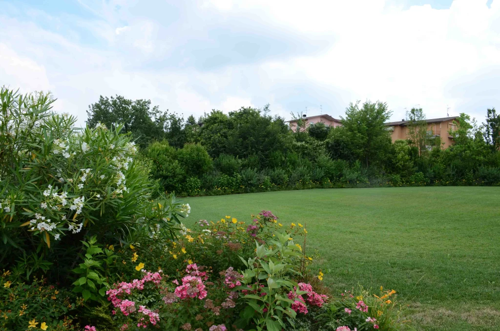 San Martino Real Estate