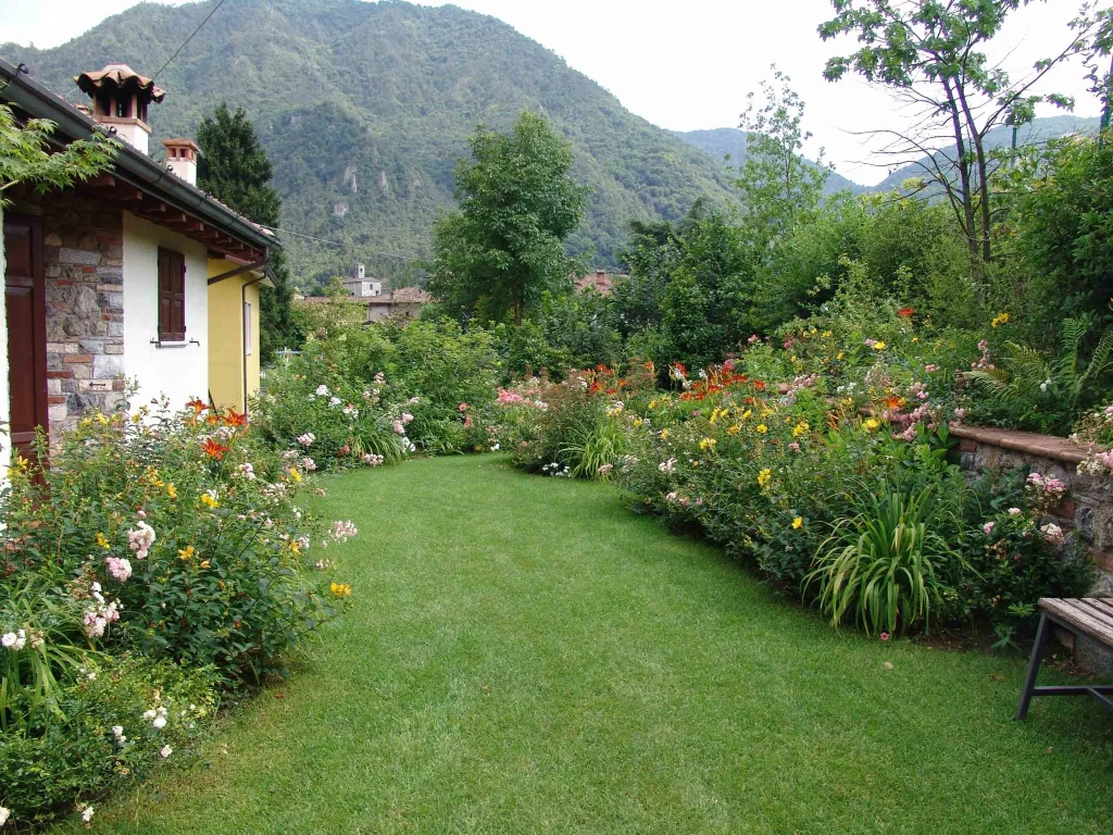 A Small Garden Bursting with Color