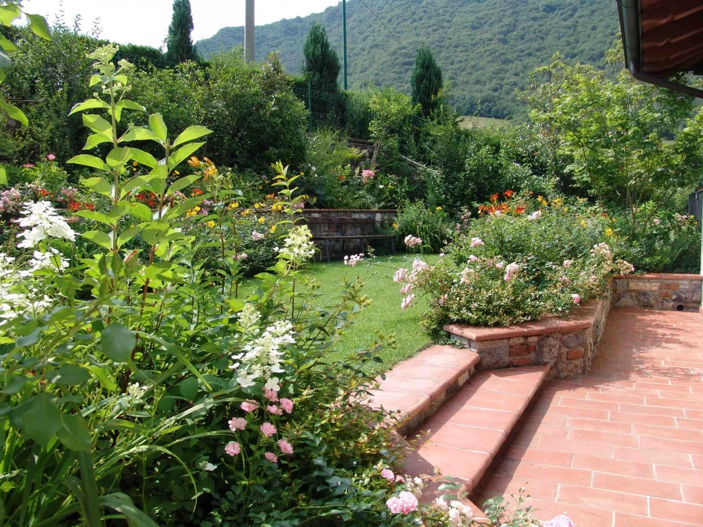 A Small Garden Bursting with Color