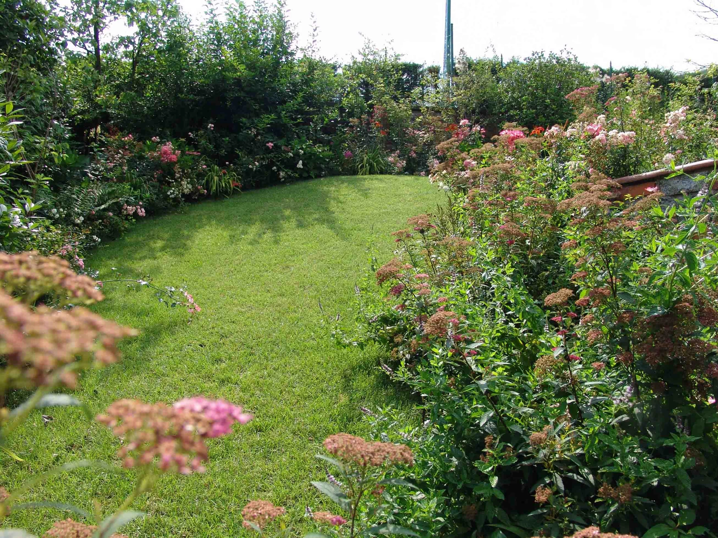 Un piccolo giardino dai colori vibranti