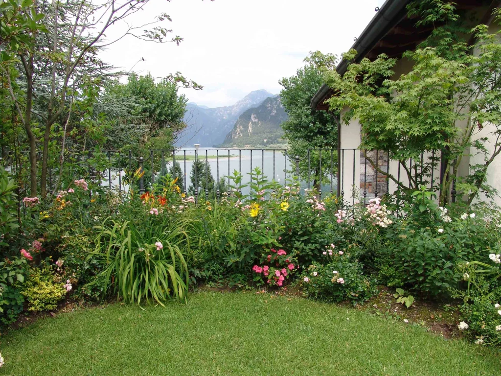 A Small Garden Bursting with Color