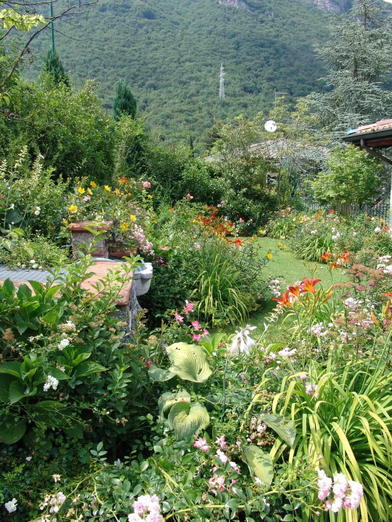 A Small Garden Bursting with Color