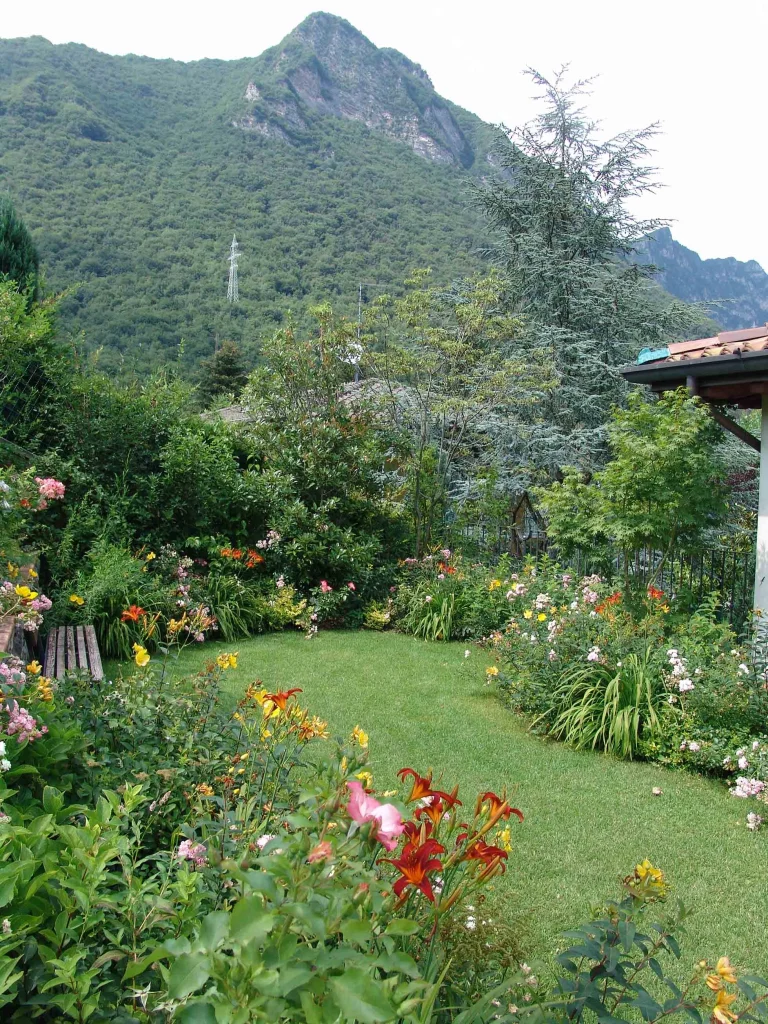 A Small Garden Bursting with Color
