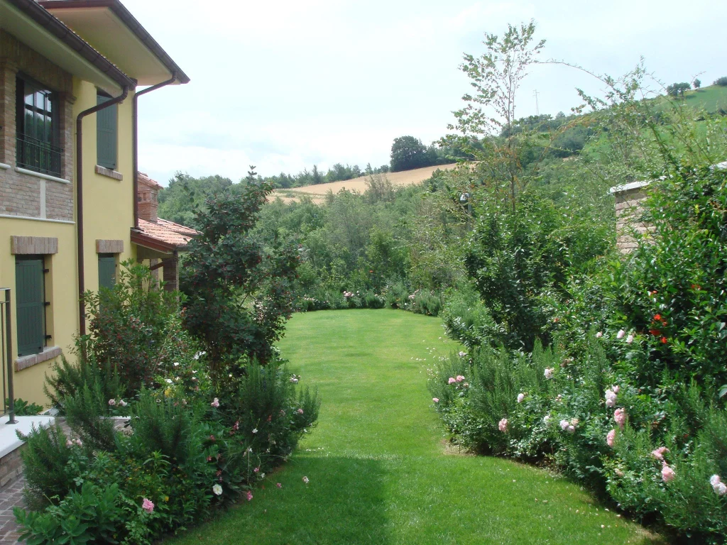 Relax Surrounded by Green