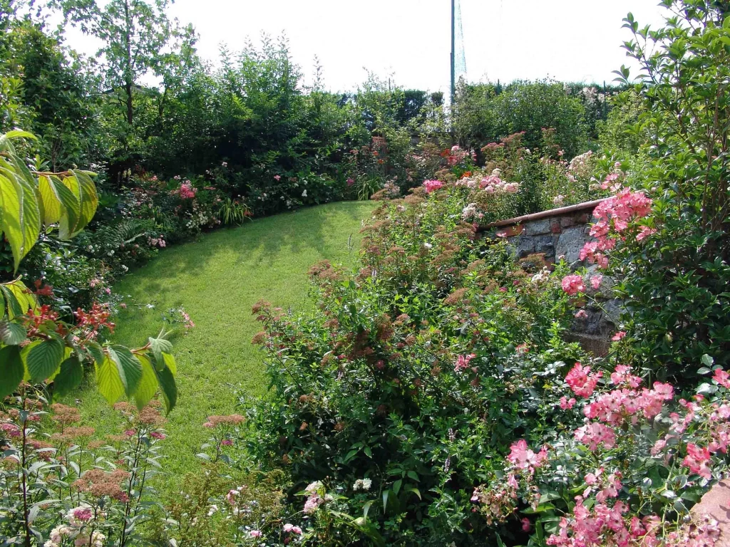 Relax Surrounded by Green