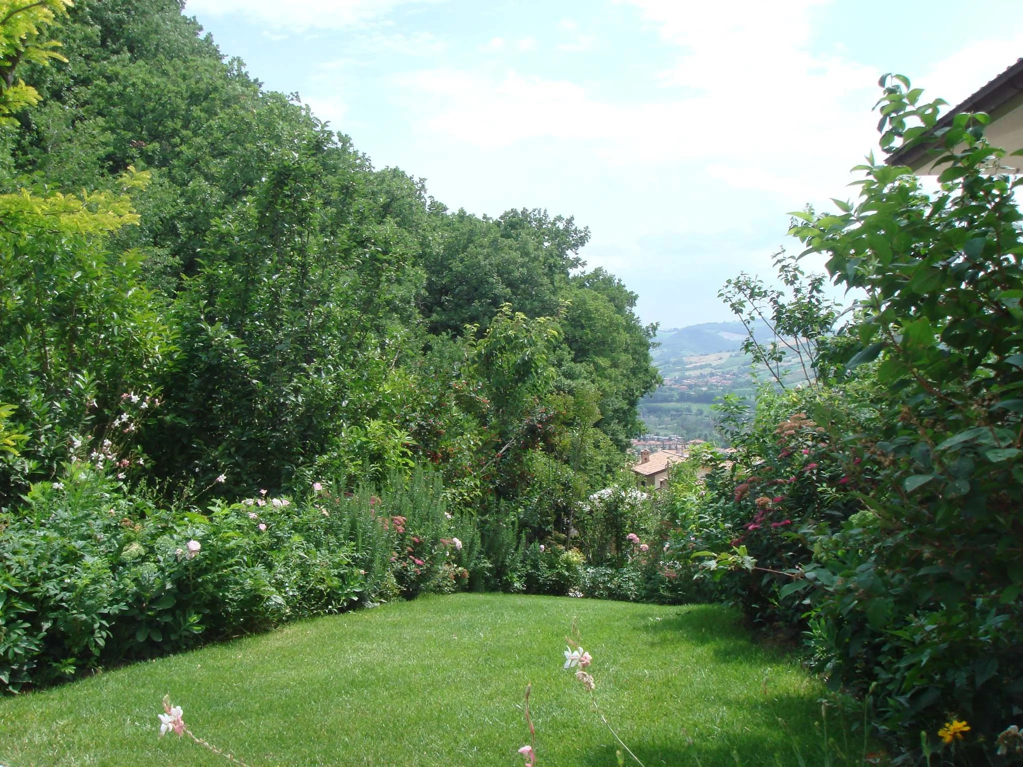 Relax immersi nel verde