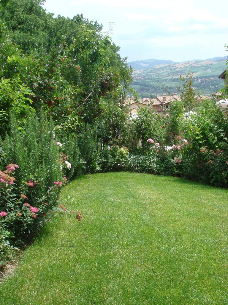 Relax Surrounded by Green