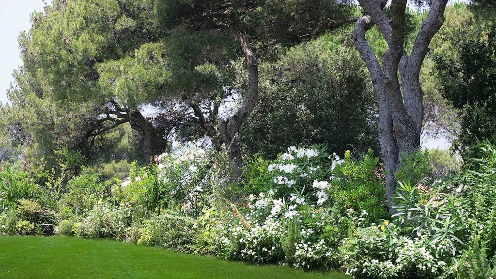 Tuscan Tradition in a Contemporary Key
