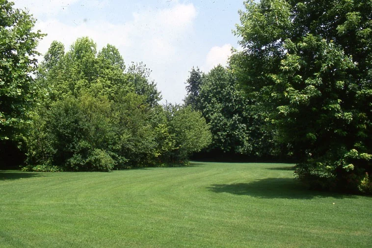 Parco Giardino Tenuta Sant’Apollonio – Castel Goffredo (Mantova)