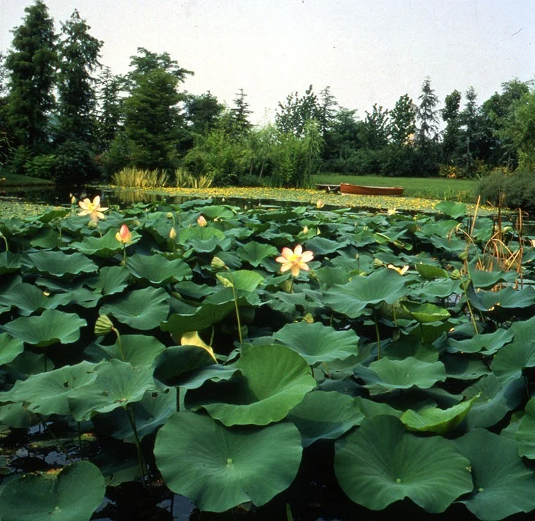 Parco Giardino Tenuta Sant’Apollonio – Castel Goffredo (Mantova)