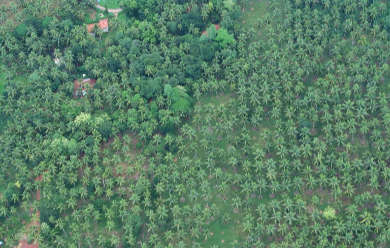 Ecosustainability