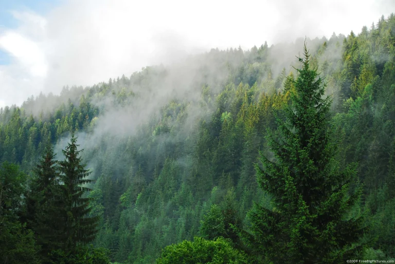 Ecosustainability