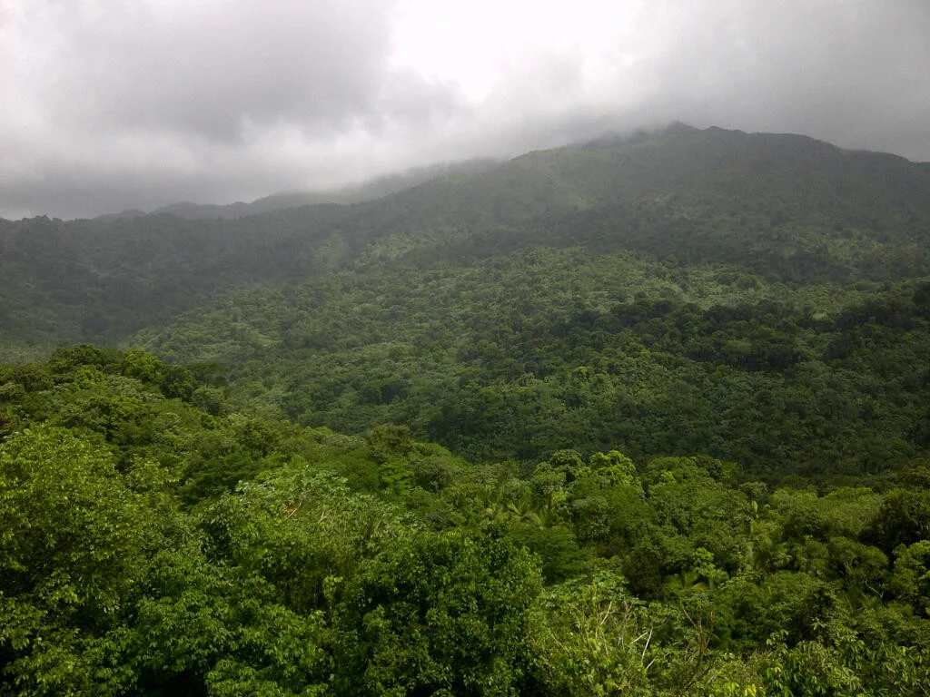 Ecosustainability