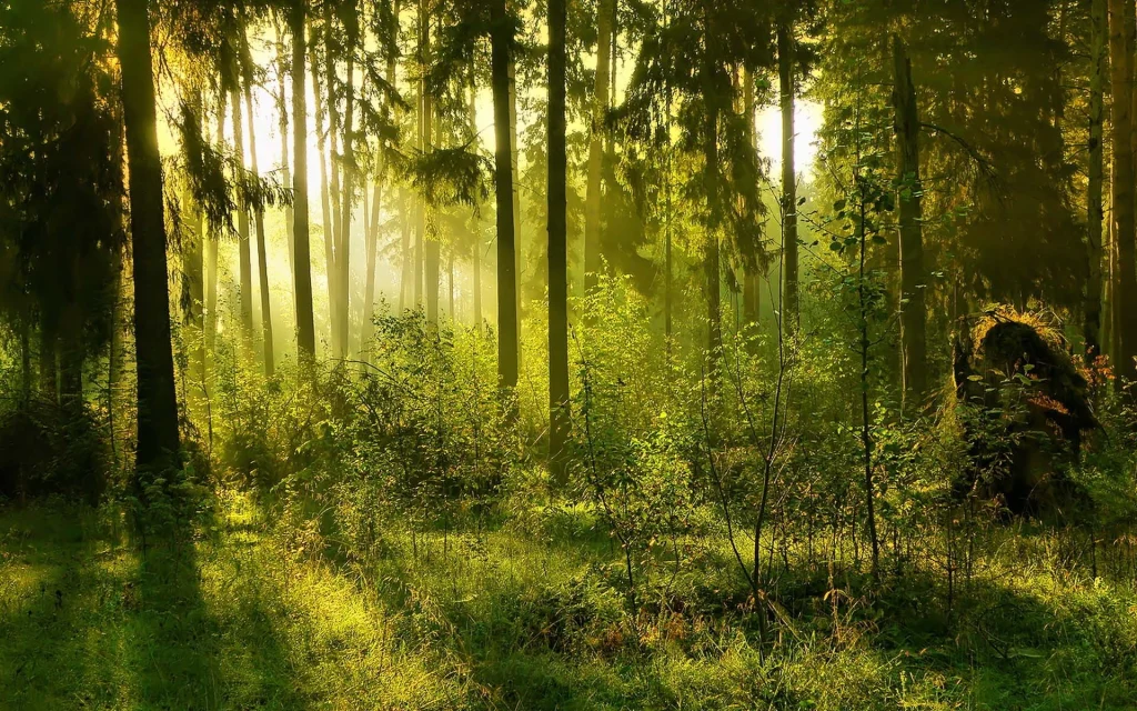 Ecosustainability