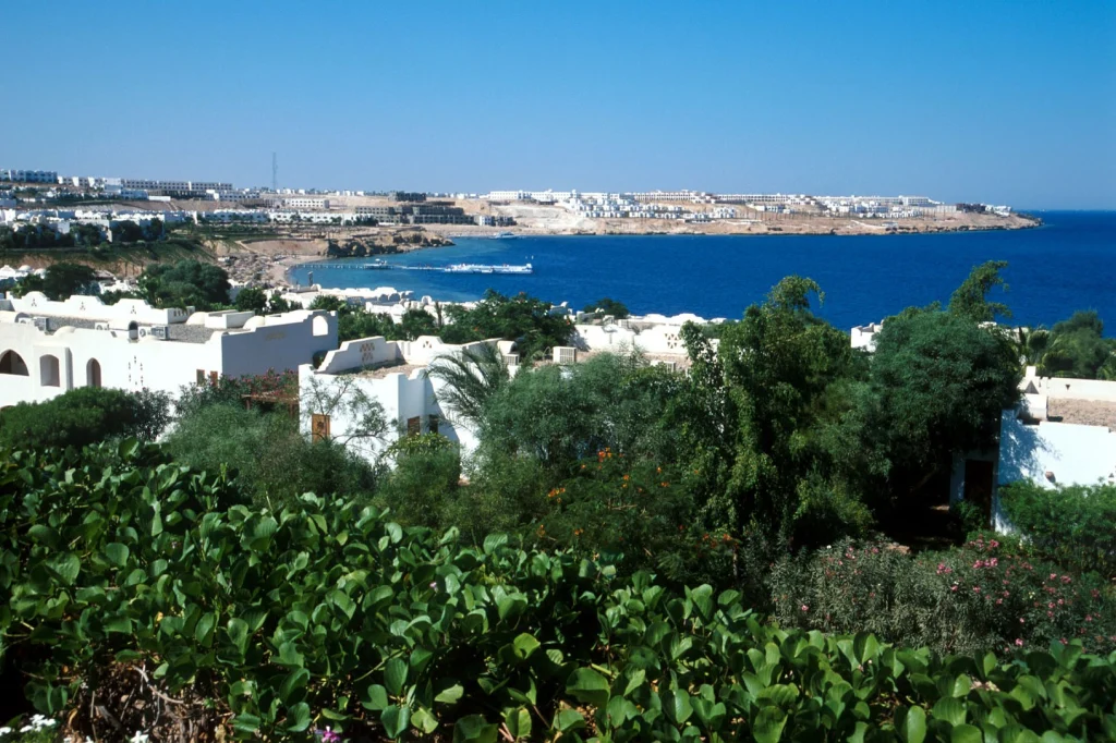 مرحلة الإبداع