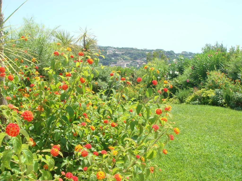 Piccola gemma Mediterranea
