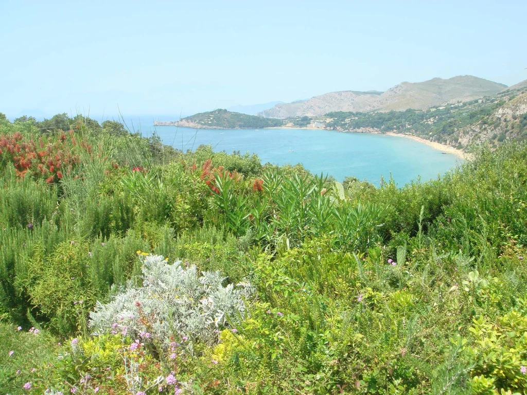 Piccola gemma Mediterranea