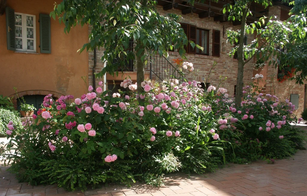 Hotel Relais il Borgo, Asti