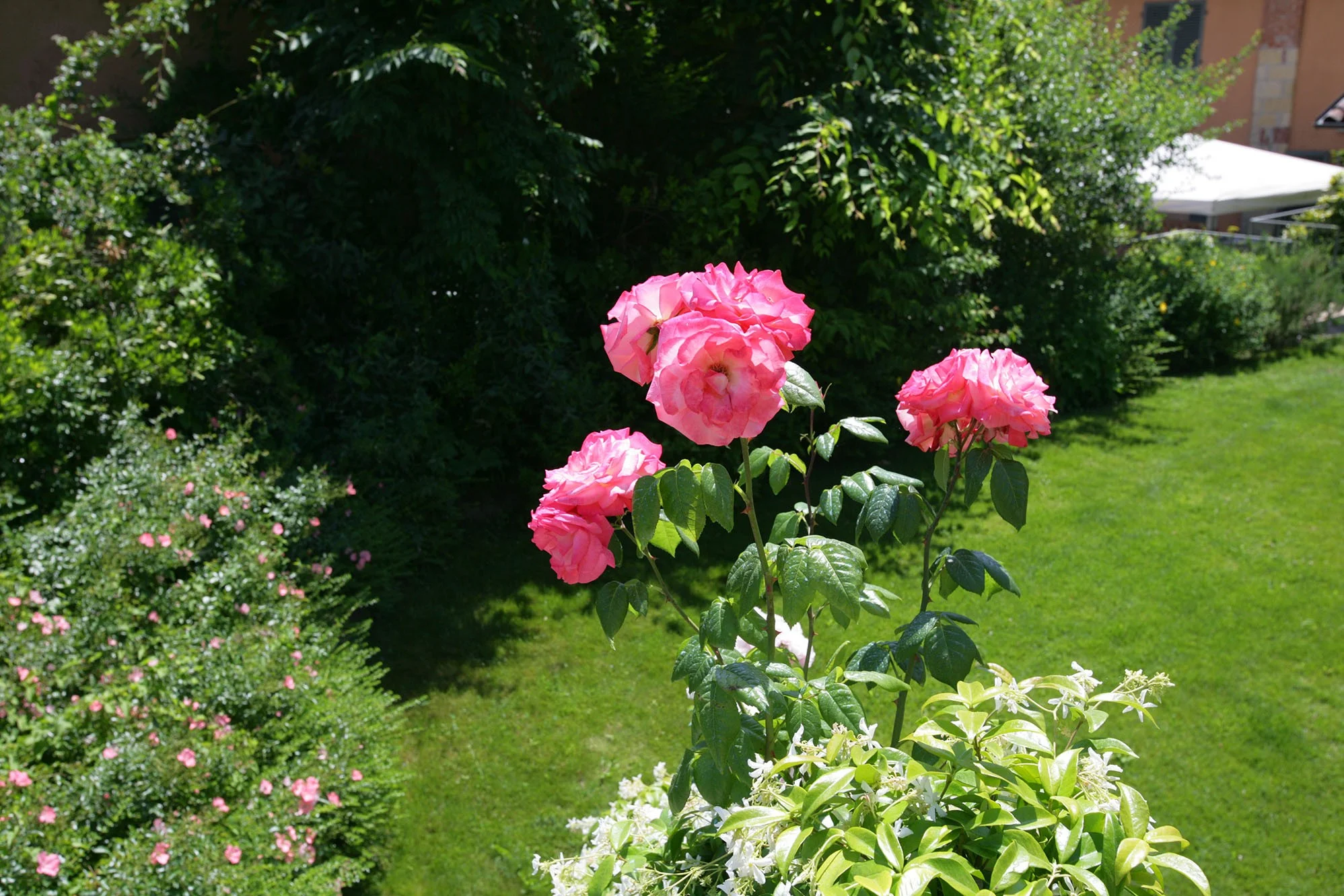 Hotel Relais il Borgo – Asti