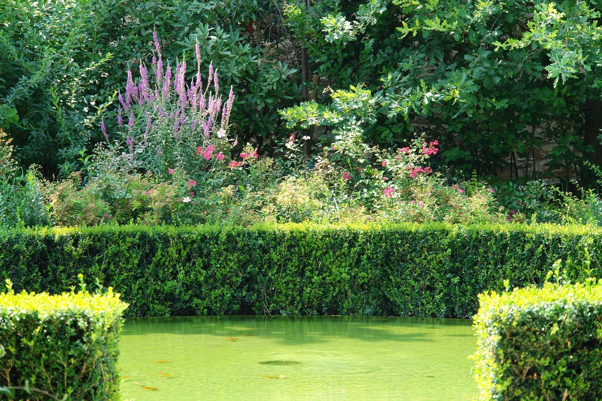 Paesaggio country