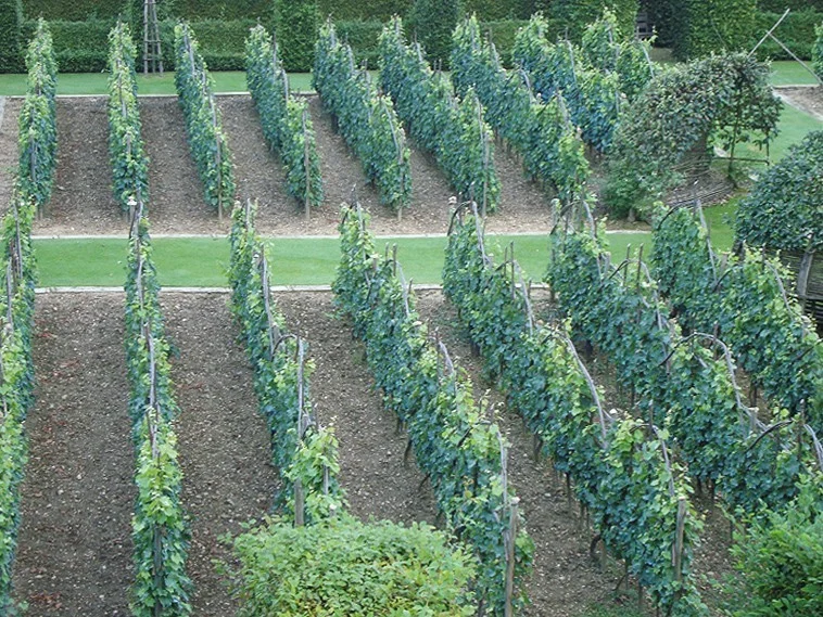 I Giardini di Assisi