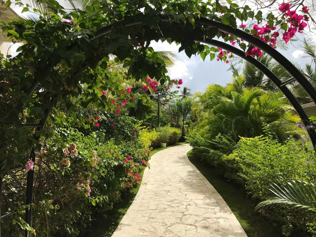 Tracadero, reflection of paradise