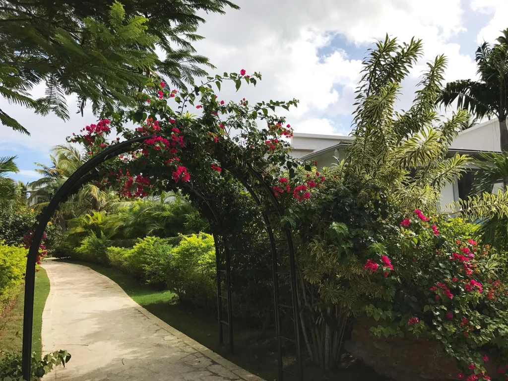 Santo Domingo’s winter warmth